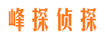 岭东市私人调查